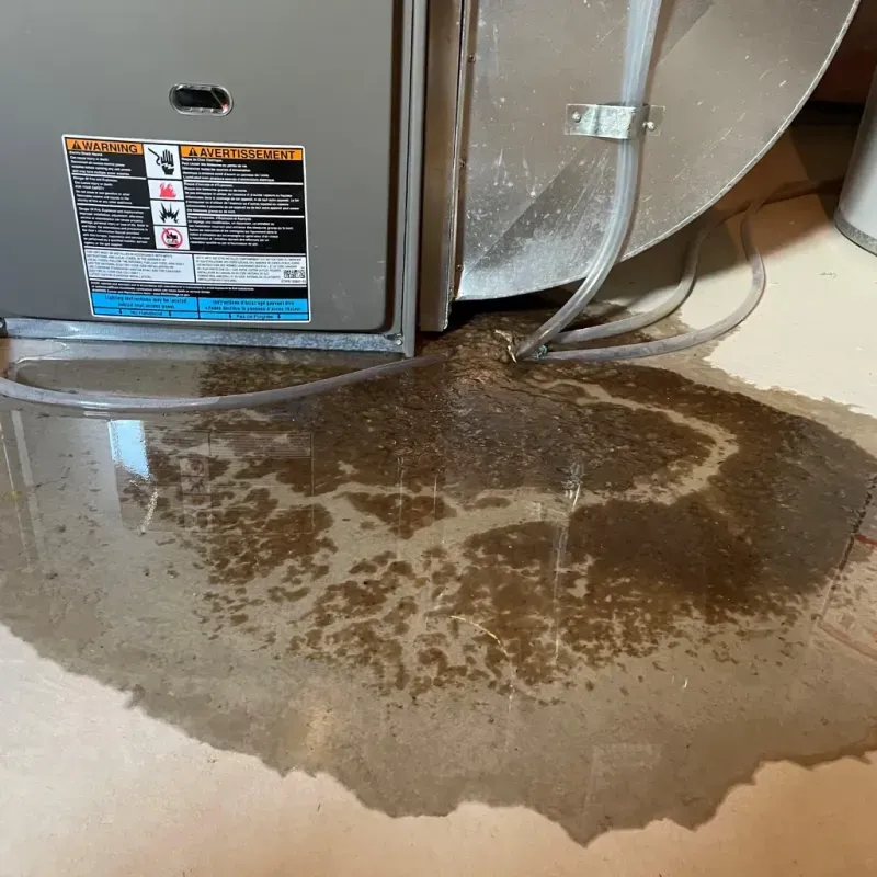 Appliance Leak Cleanup in New Castle, VA